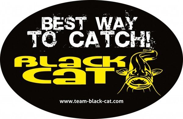 Наклейка Black Cat Sticker, Rhino 9949036