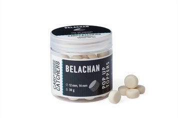 Бойли pop-up Carp Catchers Toppers "Belachan" 12, 14mm ptb1214