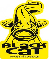 Наклейка "Black Cat" 9949033