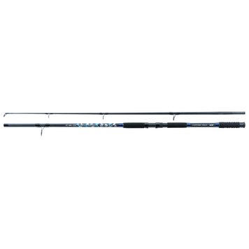 Вудлище Jaxon Tenesa Catfish Max 2,70 up to 450g WJ-TNZ270450