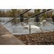 Буз-бар Solar P1 Pro-Loc Adjustable 3 Rod Buzzer Bar Small