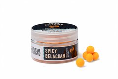 Бойли pop-up Carp Catchers «Spicy Belachan» 10 mm pstsb10