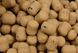 Бойлы SEAFOOD TAKE-AWAY Dumbells Small (14mm x 18mm) x 1kg
