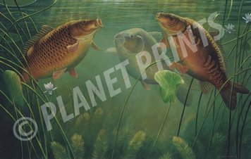 Картина PLANET PRINTS THREE KINGS small PPTKS